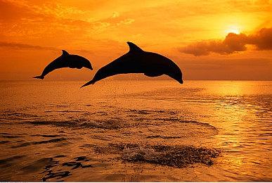 《异度神剑3》新角色伊诺演示 机械风少女